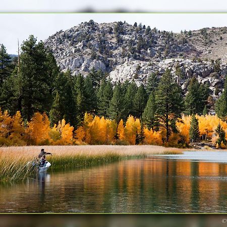 Lake Front Cabins Джун Лейк Екстериор снимка